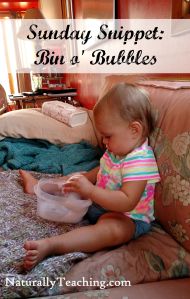 Bin o Bubbles NT